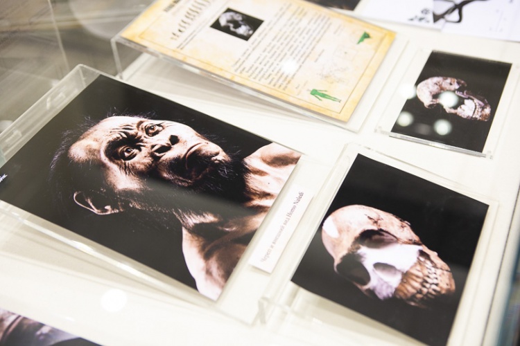 Відкриття виставки "3D моделей викопних черепів - друк пращурів"